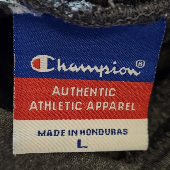 FLORIDA STATE UNIV Champion Hoodie Size Large - Gray Light Pink White - Picture 6 of 6